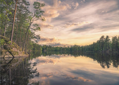 Golden Lake Reflections