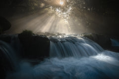 Wall mural Natural Light – fototapet med unikt motiv som skapar en inspirerande fondvägg