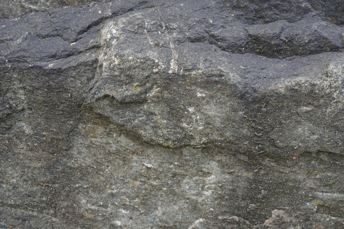 Tex Surface S32