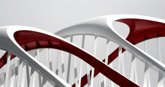 Wall mural Cherry Bridge – fototapet med unikt motiv som skapar en inspirerande fondvägg