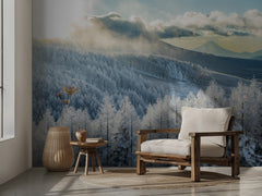 Fuji Winter Forest Sunbeams