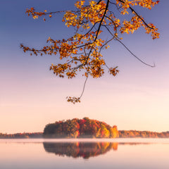 Wall mural Autumn Leaves – fototapet med unikt motiv som skapar en inspirerande fondvägg