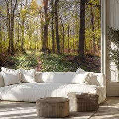 Sunlit Forest Path