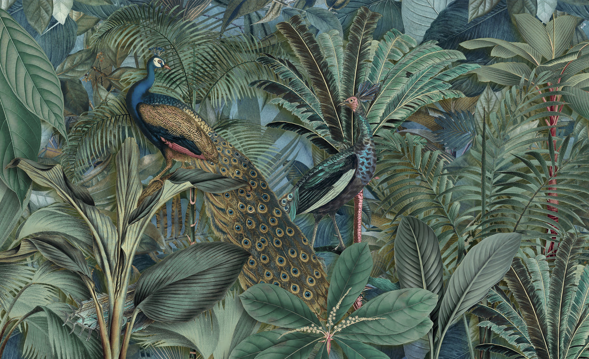 Jungle Birds Garden No2 – Eksotisk fototapet med tropisk påfugl