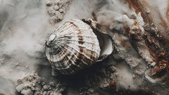 Wall mural Beach Impressions No 4 – fototapet med unikt motiv som skapar en inspirerande fondvägg