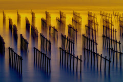 Wall mural oyster sheds light and shadow water flow – fototapet med unikt motiv som skapar en inspirerande fondvägg