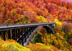 Wall mural The art arch bridge – fototapet med unikt motiv som skapar en inspirerande fondvägg