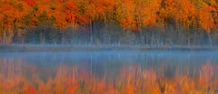 Wall mural Pulses of the Autumn – fototapet med unikt motiv som skapar en inspirerande fondvägg