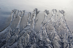 Wall mural Forest drawn by the water – fototapet med unikt motiv som skapar en inspirerande fondvägg