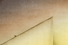 Wall mural lamplight – fototapet med unikt motiv som skapar en inspirerande fondvägg