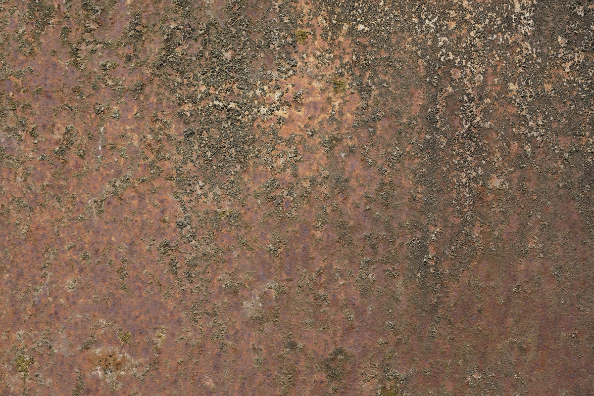 Rust 24