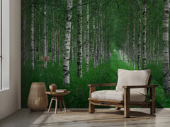 Birch Forest Path