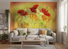 Blommor Dancing - Fototapet med dansande vallmor i rött – fototapet med unikt motiv som skapar en inspirerande fondvägg