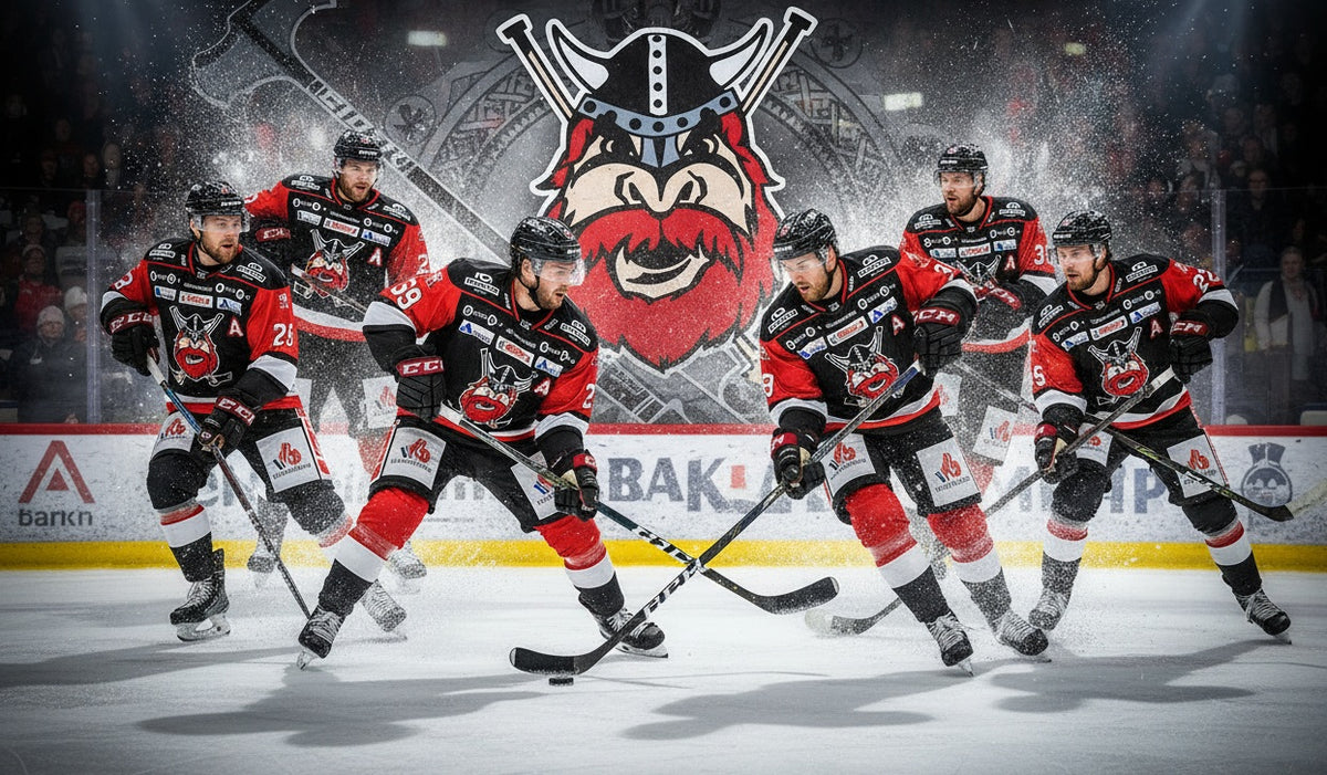 Nybro Vikings - det är vårat lag...