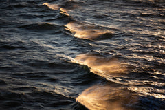 Wall mural Sunkissed Waves – fototapet med unikt motiv som skapar en inspirerande fondvägg