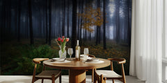 Misty Autumn Forest