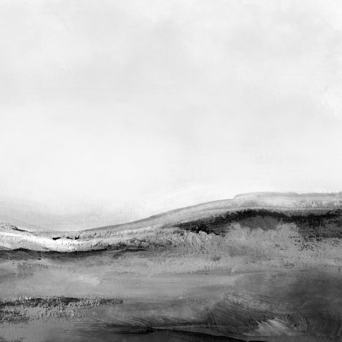 Mono Landscape nr. 2