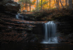 Wall mural Autumn Flow – fototapet med unikt motiv som skapar en inspirerande fondvägg