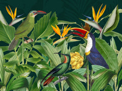 Wall mural Rainforest Birds – fototapet med unikt motiv som skapar en inspirerande fondvägg
