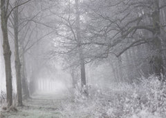 Foggy Winter Morning 1