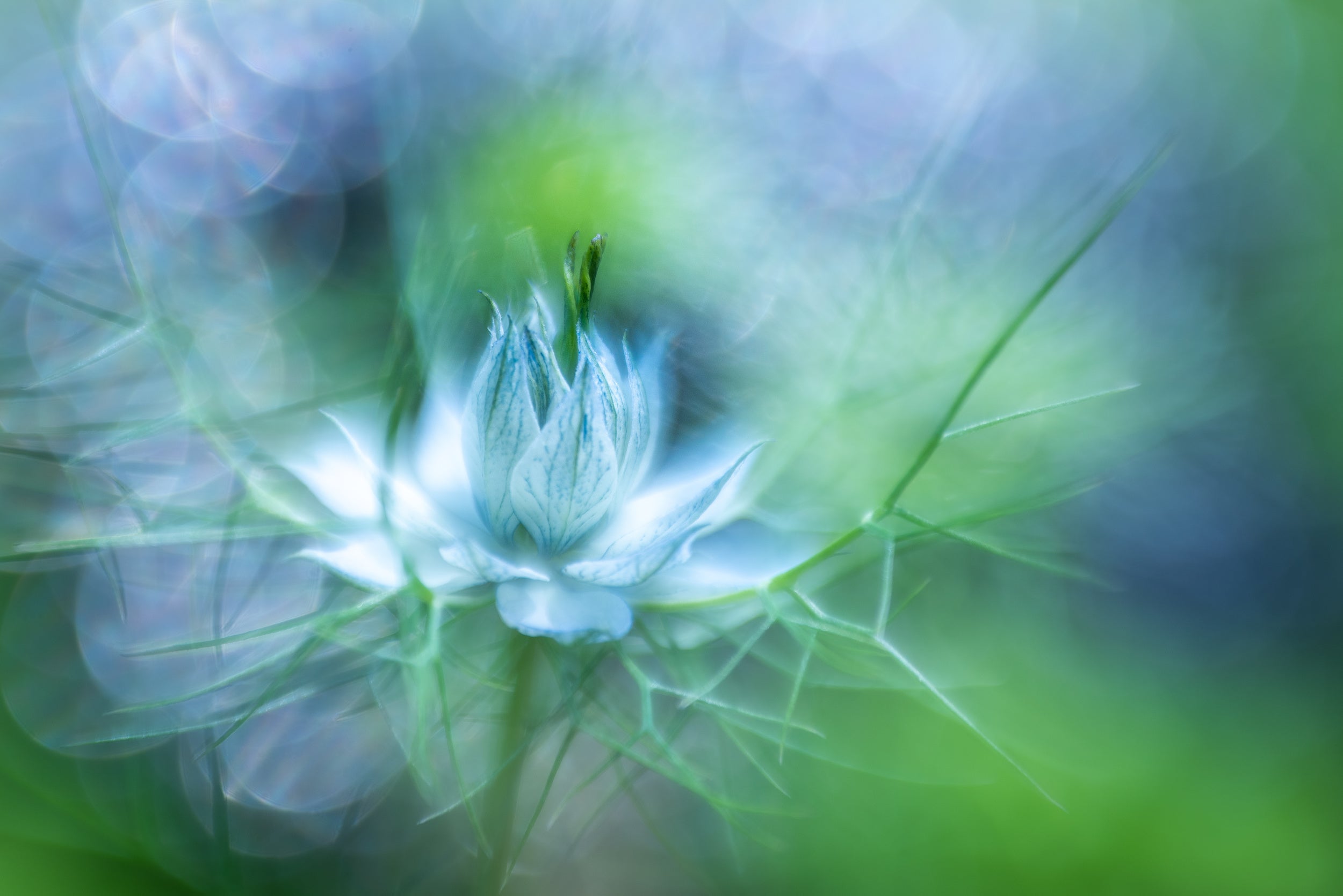 Magic blue....