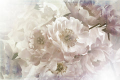 Wall mural Ombre33flower – fototapet med unikt motiv som skapar en inspirerande fondvägg