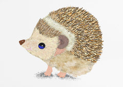 Cute Blue Eyed Hedgehog