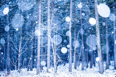 Wall mural Snowscape – fototapet med unikt motiv som skapar en inspirerande fondvägg