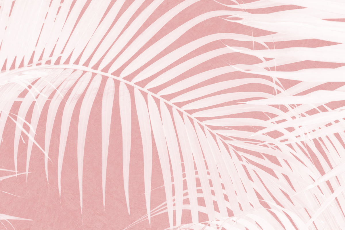 Palmblader på rosa silhuett IV