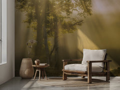 Misty Forest Light