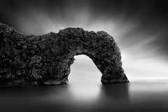 Wall mural Dinosaur on the Beach II – fototapet med unikt motiv som skapar en inspirerande fondvägg