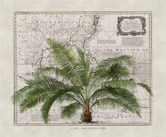 Wall mural Tropical Empire No2 – fototapet med unikt motiv som skapar en inspirerande fondvägg