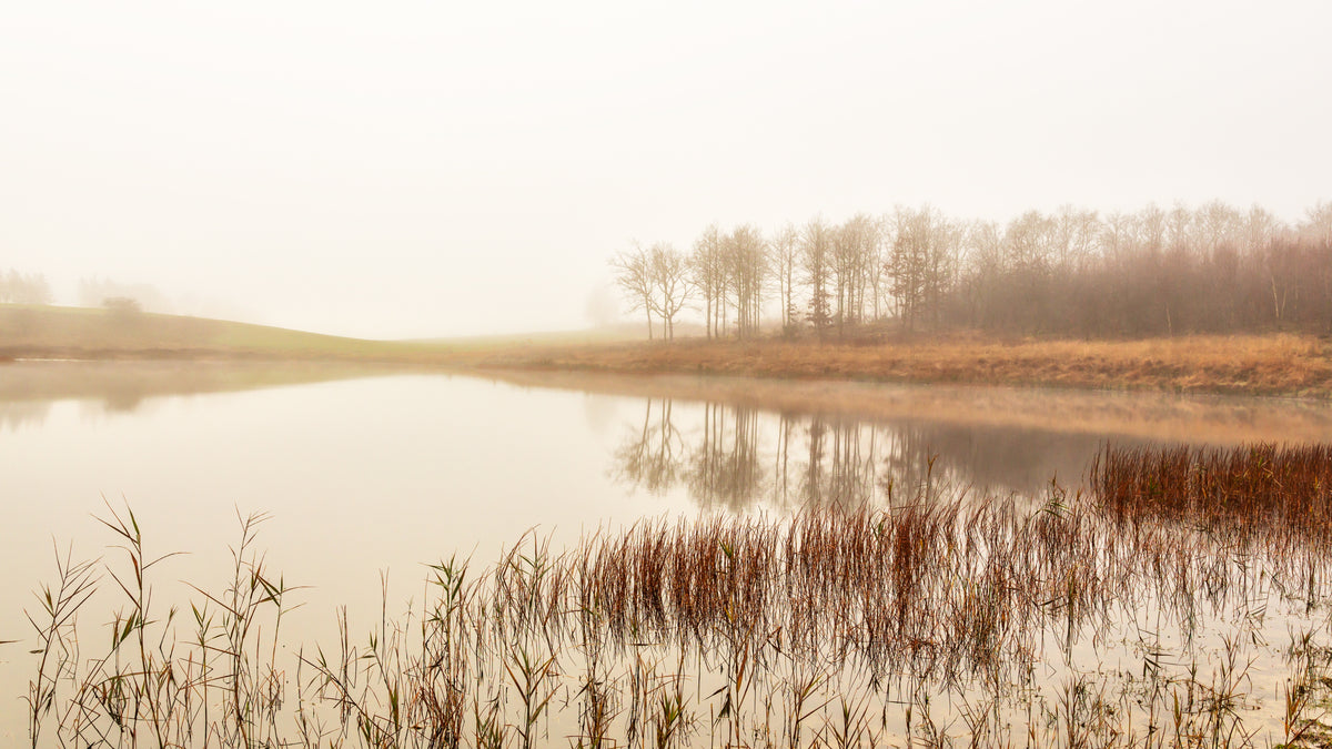 Stille innsjø