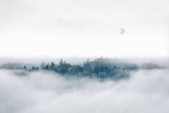 Wall mural Misty Morning Surprise – fototapet med unikt motiv som skapar en inspirerande fondvägg