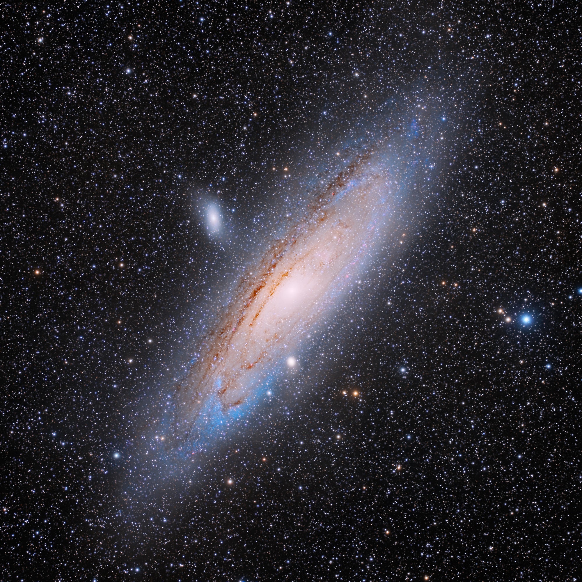 Andromeda