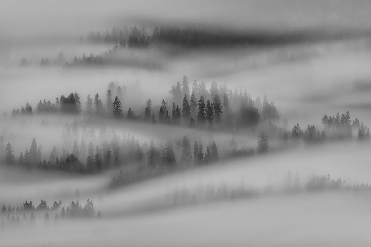 Høstinntrykk