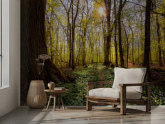 Sunlit Forest Path