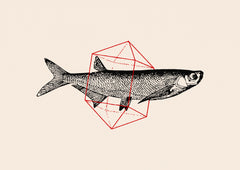 Wall mural Fish In Geometrics Nº2 – fototapet med unikt motiv som skapar en inspirerande fondvägg