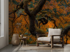 Vibrant Autumn Maple Tree