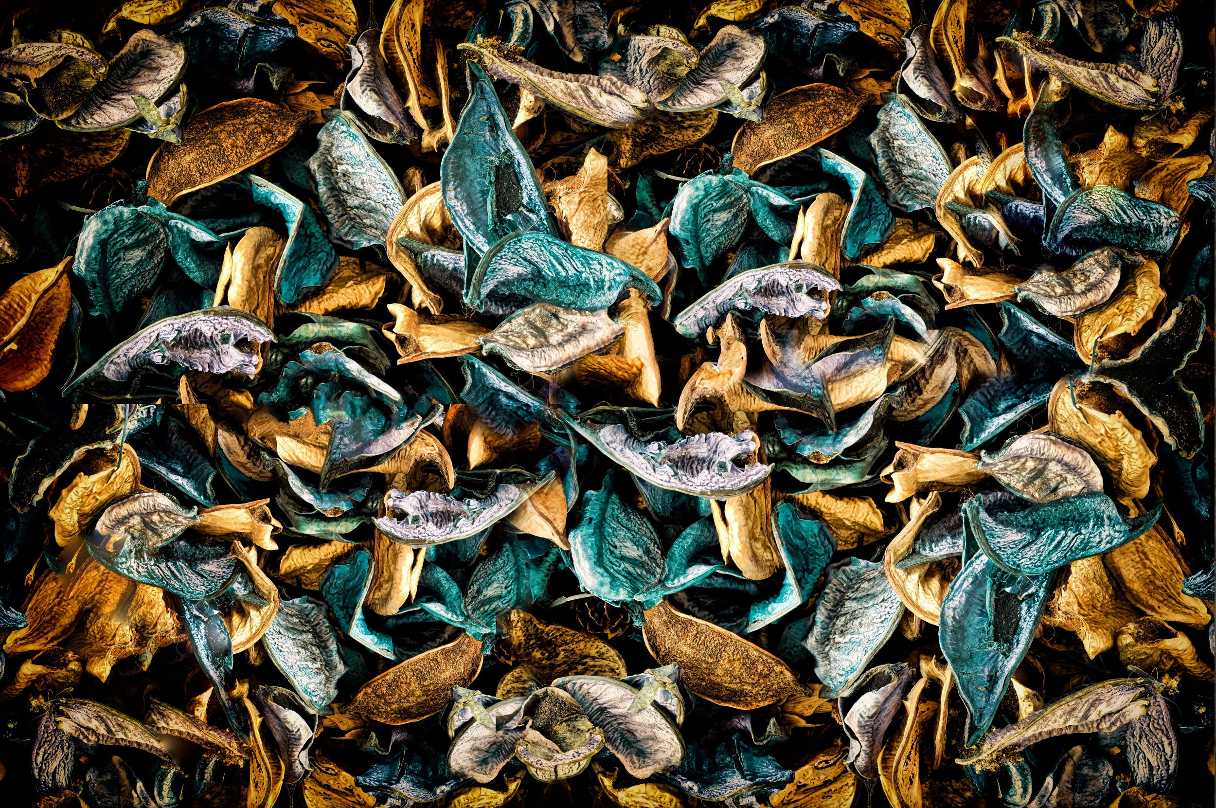 Les Feuilles Mortes