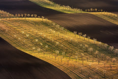 Wall mural Moravian Tuscany Waves #2 – fototapet med unikt motiv som skapar en inspirerande fondvägg