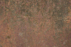 Wall mural Rust 2 – fototapet med unikt motiv som skapar en inspirerande fondvägg