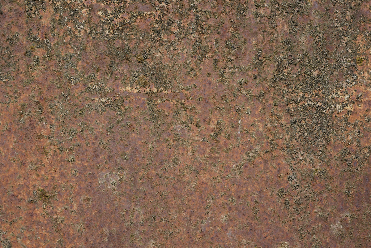 Rust 2
