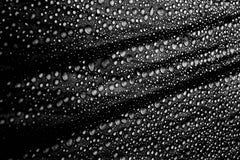 Wall mural Cultured Rain Pearls – fototapet med unikt motiv som skapar en inspirerande fondvägg