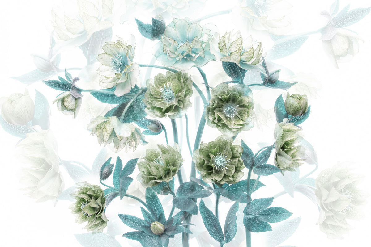 Blomstrende