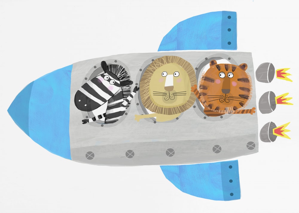 Animals Space Rocket