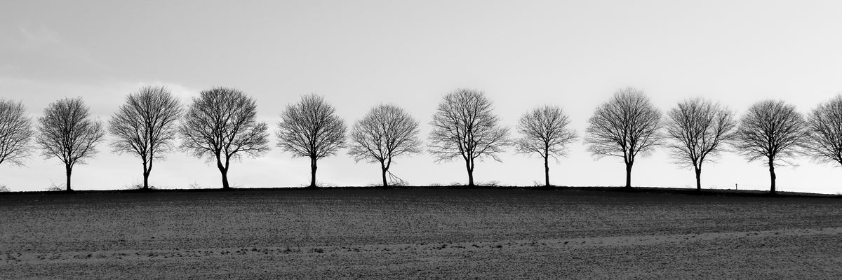 lined up