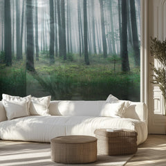 Misty Forest Reflections
