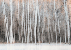 Wall mural Wintry Vision – fototapet med unikt motiv som skapar en inspirerande fondvägg
