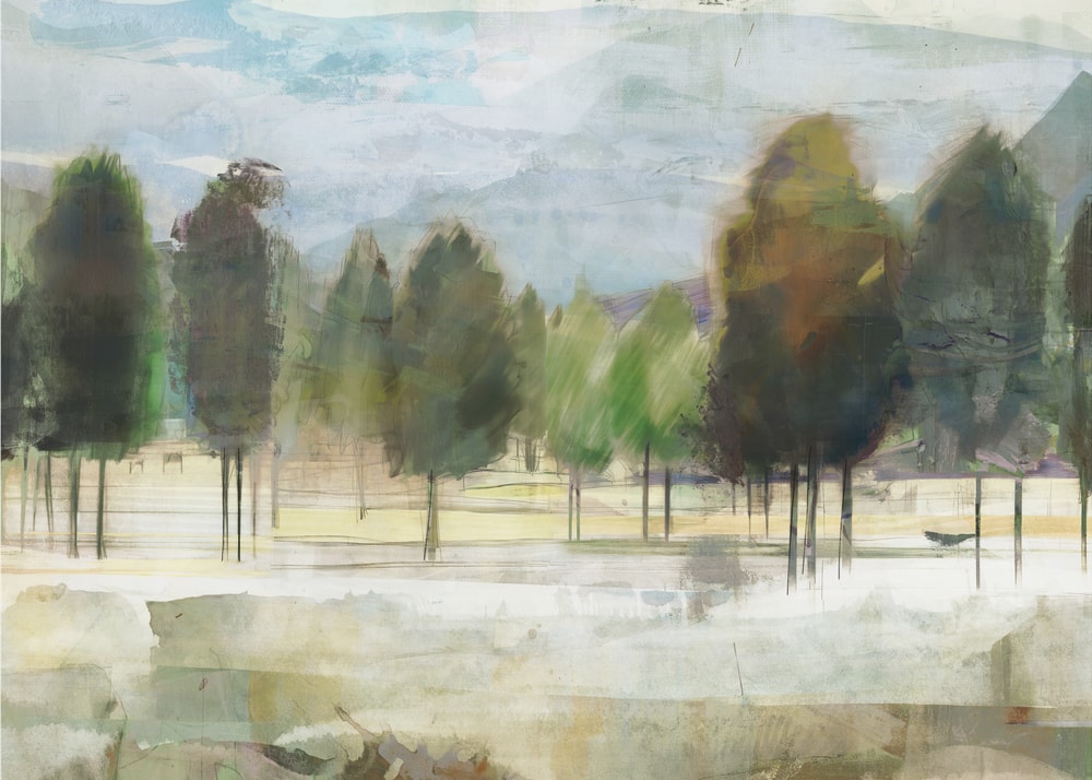 Abstract Forest Landscape